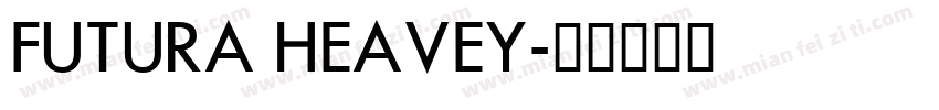 FUTURA HEAVEY字体转换